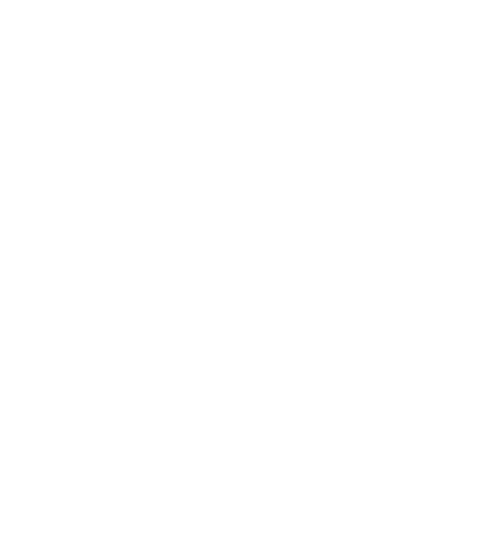 roadmap